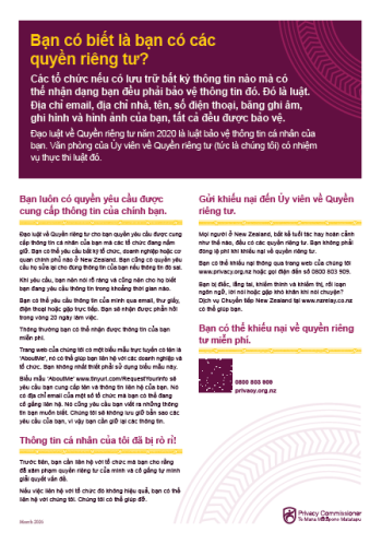 Screenshot of Vietnamese translation