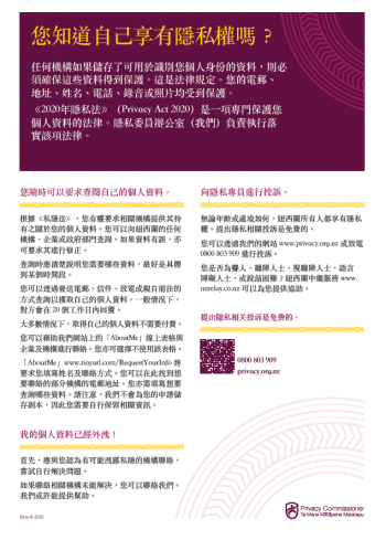 Screenshot of Traditional Chinese brochure