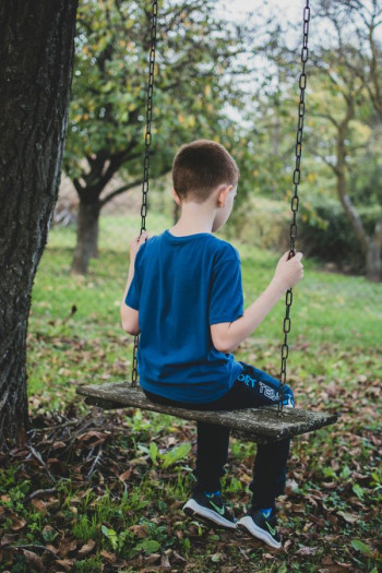 A young boy sits on a swing that is attached to a tree. He has short brown hair. He is wearing a blue t-shirt , blue track pants and blue sneakers.
