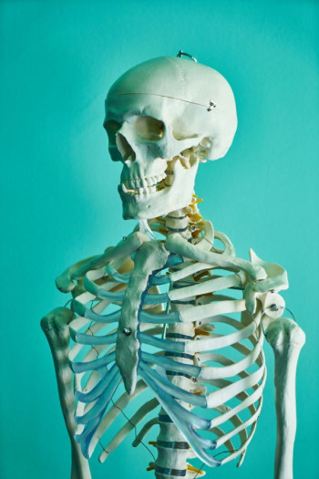 A skeleton stands against a teal background.