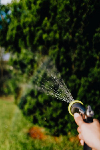 A person sprays water from a hose onto grass