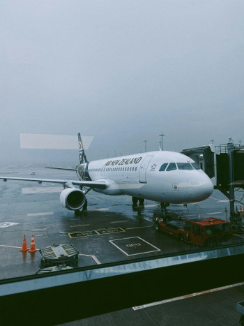 An Air New Zealand plane stands at an airport gate in grey weather.