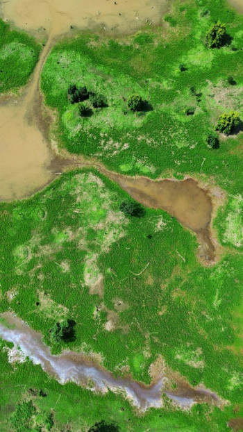 An aerial view of green pasture and dirty lake water.