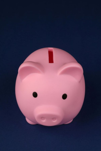 A pink piggy bank