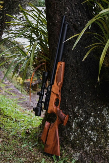 A rifle leans up against a tree.
