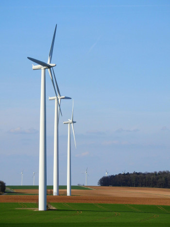 Three wind turbines stand in a line in a green and brown field. More turbines can be seen in the distance.